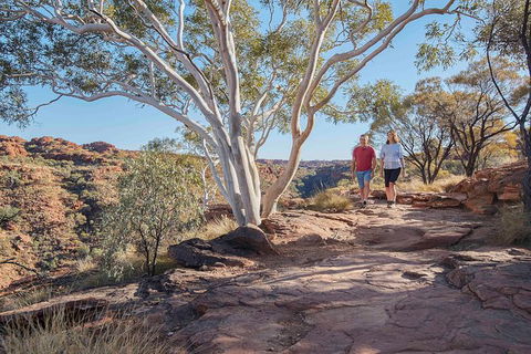 3-Day Tour From Uluru (Ayers Rock) To Alice Springs Via Kings Canyon - Queensland Tourism 26
