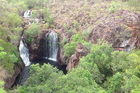 Litchfield National Park And Jumping Crocodile Cruise - QLD Tourism 1