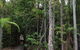 Litchfield National Park And Jumping Crocodile Cruise - thumb 5