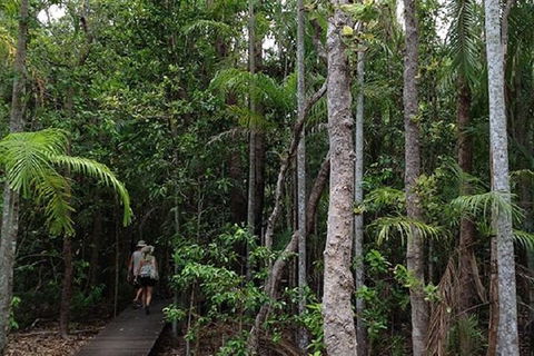 Litchfield National Park And Jumping Crocodile Cruise - QLD Tourism 5