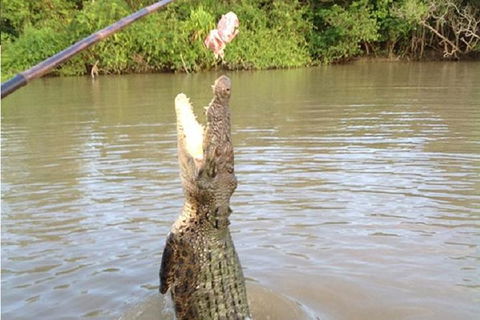Litchfield National Park And Jumping Crocodile Cruise - QLD Tourism 10