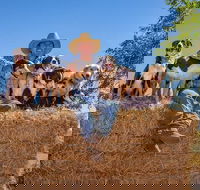 Skip-the-Line Katherine Outback Experience Show Ticket - Queensland Tourism