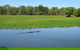 Darwin To Kakadu Day Trip By Air Including Yellow Water Cruise - thumb 8