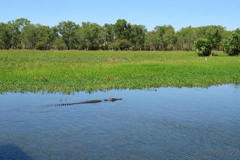 Darwin To Kakadu Day Trip By Air Including Yellow Water Cruise - QLD Tourism 8