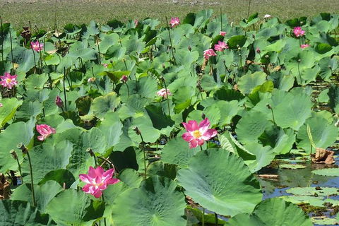 Darwin To Kakadu Day Trip By Air Including Yellow Water Cruise - QLD Tourism 10