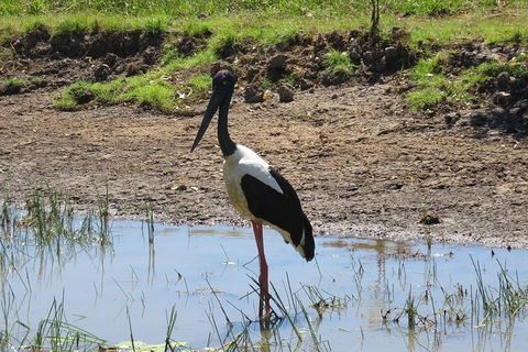 Darwin To Kakadu Day Trip By Air Including Yellow Water Cruise - QLD Tourism 12