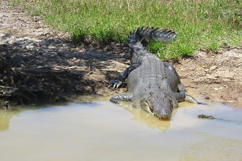 Darwin To Kakadu Day Trip By Air Including Yellow Water Cruise - QLD Tourism 5