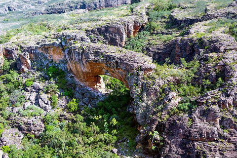 Darwin To Kakadu Day Trip By Air Including Yellow Water Cruise - QLD Tourism 13