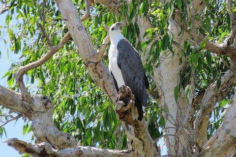 Darwin To Kakadu Day Trip By Air Including Yellow Water Cruise - QLD Tourism 6