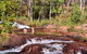 Litchfield National Park Day Tour From Darwin With Waterfalls And Buley Rockhole - thumb 12