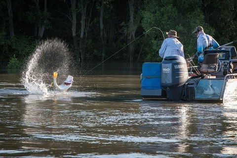 Freshwater Or Saltwater Barramundi Fishing Day Trip From Darwin - QLD Tourism 1