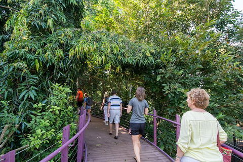 Walk The Darwin Botanic Gardens - QLD Tourism 1
