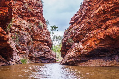 Uluru (Ayers Rock) To Alice Springs One-Way Shuttle - QLD Tourism 9