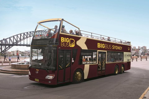 Big Bus Sydney And Bondi Hop-on Hop-off Tour - Queensland Tourism 0