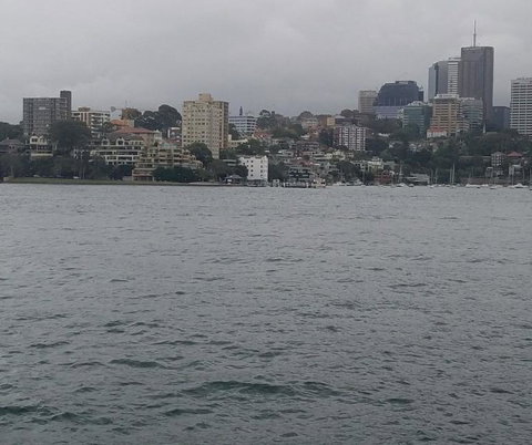 Big Bus Sydney And Bondi Hop-on Hop-off Tour - Queensland Tourism 6