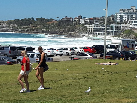 Big Bus Sydney And Bondi Hop-on Hop-off Tour - Queensland Tourism 12