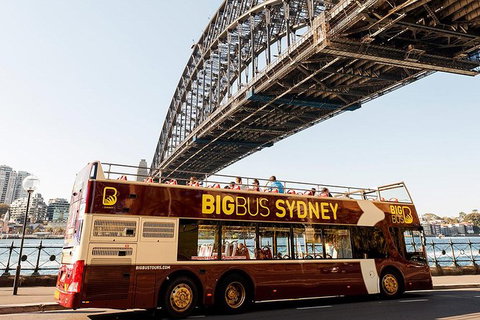 Big Bus Sydney And Bondi Hop-on Hop-off Tour - Queensland Tourism 26