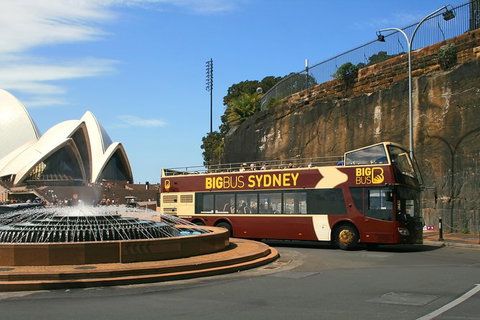 Big Bus Sydney And Bondi Hop-on Hop-off Tour - Queensland Tourism 34