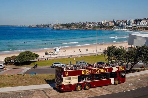 Big Bus Sydney And Bondi Hop-on Hop-off Tour - Queensland Tourism 33