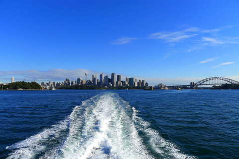 Sydney Whale-Watching Cruise - QLD Tourism 4