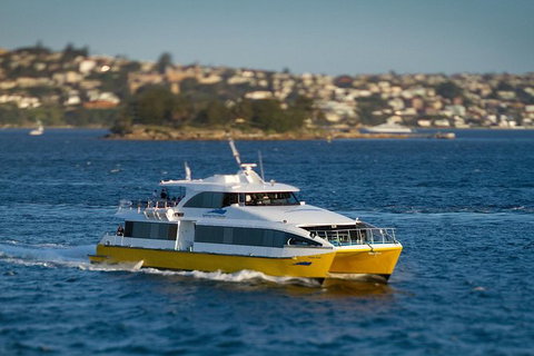 Sydney Whale-Watching Cruise - QLD Tourism 1