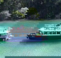 Brunswick Heads Rainforest Eco-Cruise - Queensland Tourism