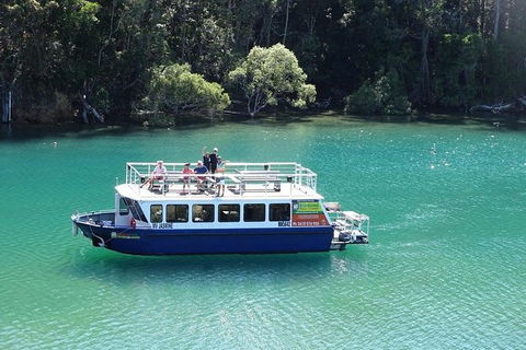Brunswick Heads Rainforest Eco-Cruise - Queensland Tourism 0