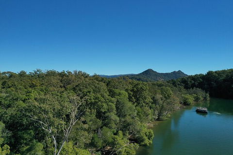 Brunswick Heads Rainforest Eco-Cruise - Queensland Tourism 6