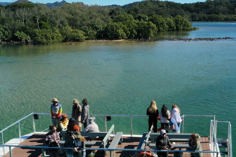 Brunswick Heads Rainforest Eco-Cruise - Queensland Tourism 8