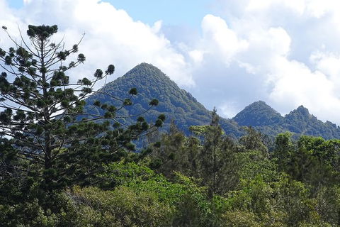 Brunswick Heads Rainforest Eco-Cruise - Queensland Tourism 3