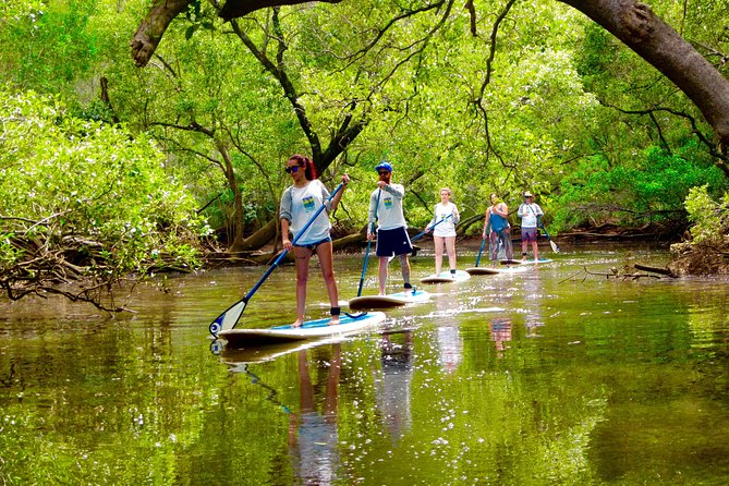 Hayters Hill NSW Queensland Tourism