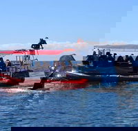 Byron Bay Whale Watching Cruise - Queensland Tourism