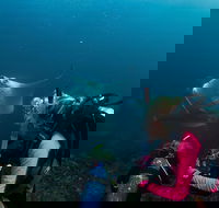 5-Hour Byron Bay Introductory Scuba Diving Tour - Queensland Tourism