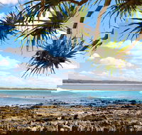 Arrawarra-Corindi Beach - QLD Tourism