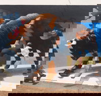 Big Bull Mural - QLD Tourism