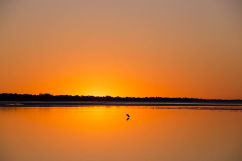 Birdwatching On The Fraser Coast - Queensland Tourism 1