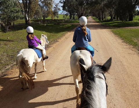 Bits And Boots Pony Rides - Queensland Tourism 0