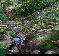 Cascades picnic area - Queensland Tourism