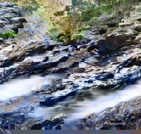 Casuarina Falls Circuit - QLD Tourism