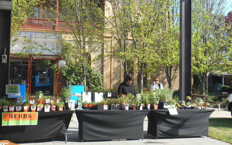 Clare Show Market - QLD Tourism 0