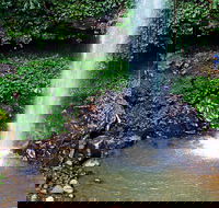 Crystal Shower Falls Walk - QLD Tourism