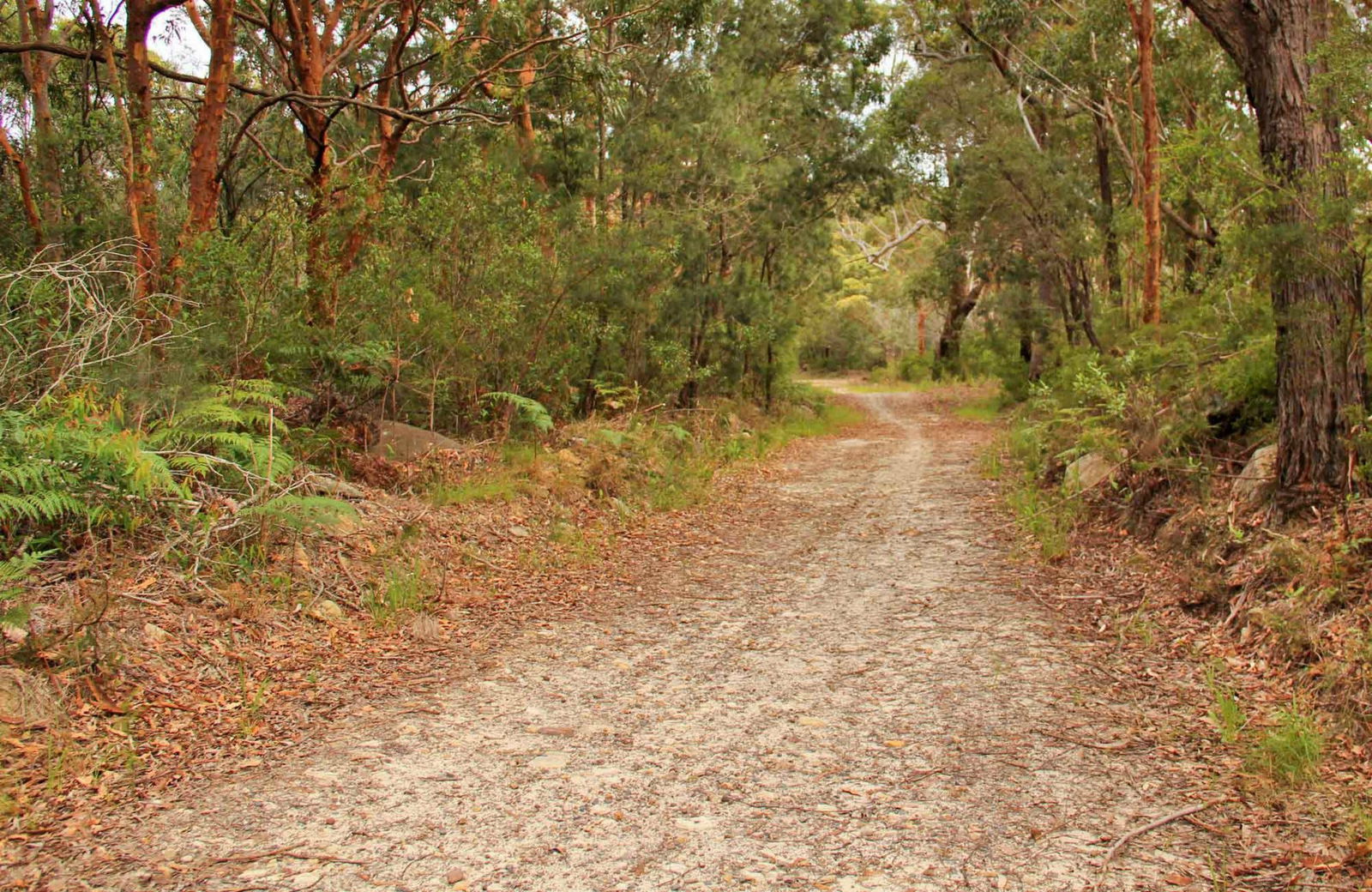 Killcare Heights NSW Queensland Tourism