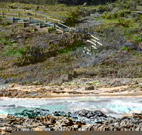 Dammerels History Walk - QLD Tourism