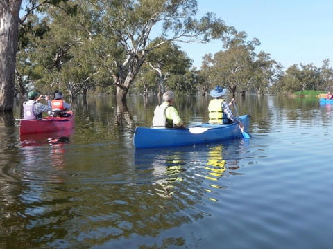Doodle Cooma Swamp - Queensland Tourism 0