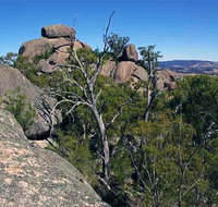 Evans Crown Nature Reserve - QLD Tourism