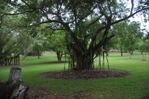 Frog Hollow - QLD Tourism 1