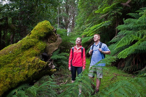 Grand Strzelecki Track - Queensland Tourism 0