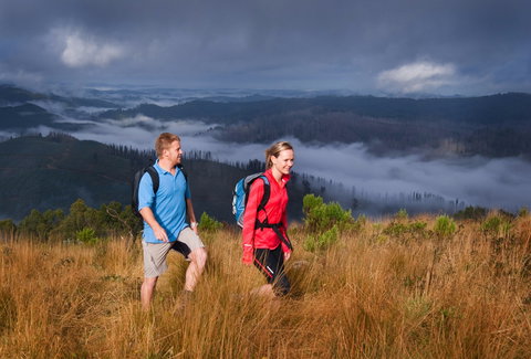 Grand Strzelecki Track - Queensland Tourism 1