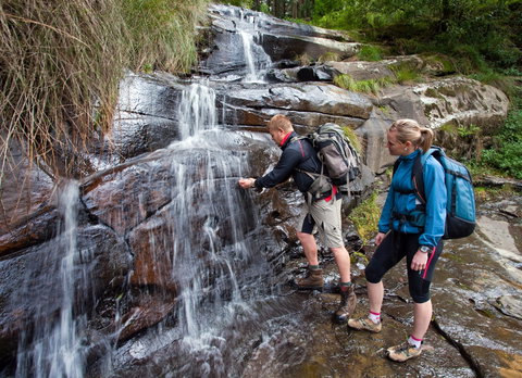 Grand Strzelecki Track - Queensland Tourism 2