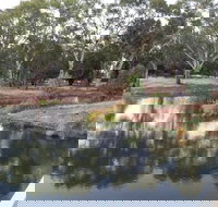 Green Corridor Walking Track - QLD Tourism